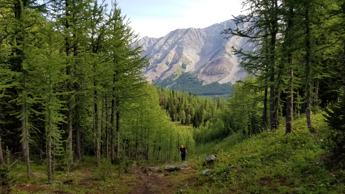 The AHA wrote a letter to Alberta's Minister of Environment and Parks on Monday in response to Bill 79, the Trails Act.

Future trails &amp; management plans should protect our wild spaces: not cause further harm.

Read the letter below. #ableg #abhiking

abhiking.ca/news/?v=d&id=3…