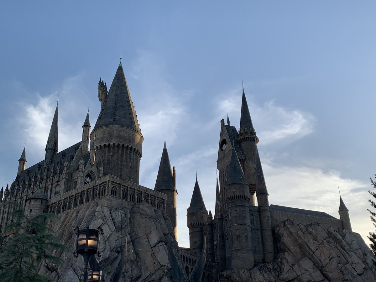 // Feels like home. 💚