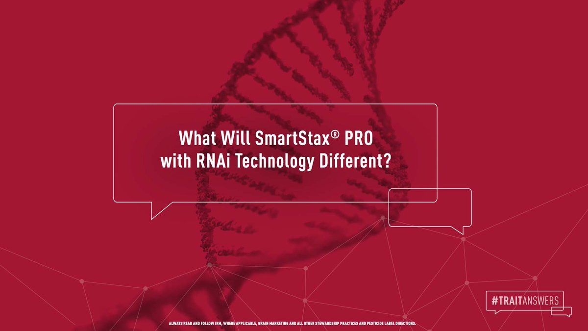 BayerTraits's tweet image. #SSPro with RNAi Technology represents the next generation of corn #rootworm control. But what does that actually mean? bit.ly/3HqqkNP