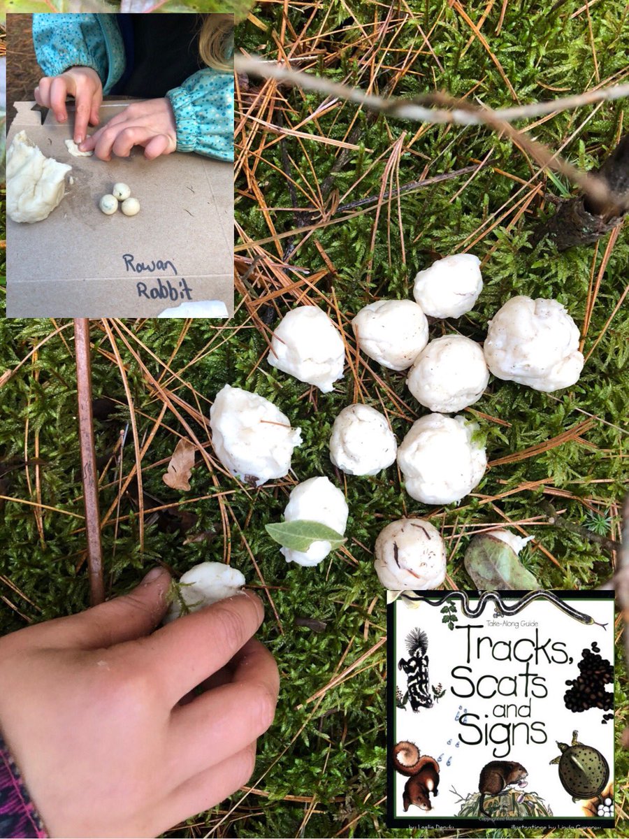 Kinder Max tweet media