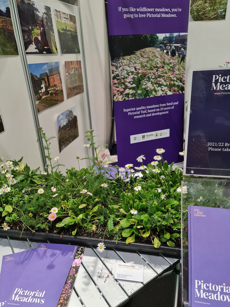 Debbie_Beckett's tweet photo. Great to chat to the following @FutureScapeUK @ExCeLLondon today and thanks for all the info guys @ProLandscaperUK @TalaseyGroup @_LONDONSTONE @keburgardens @premiumplants @PictorialMeadow - hope everyone had a safe journey home https://t.co/dQi987HEhF