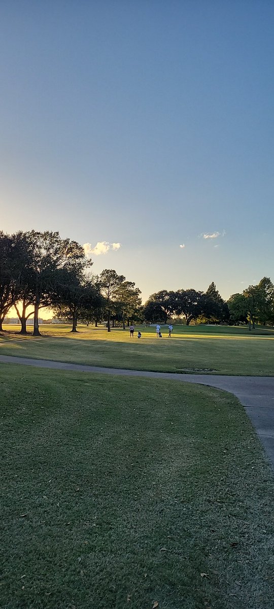 Taylor HS Golf Team tweet media