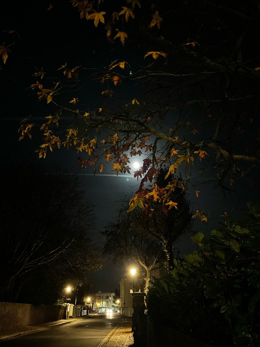 A very eerie moon over Southsea this evening. 

#southsea #portsmouth #moon #moonphotography #moonlight #autumnleaves #autumn #picoftheday #bbcsouthnews #bbcautumnwatch #hampshire #photography #capturingbritain_nature