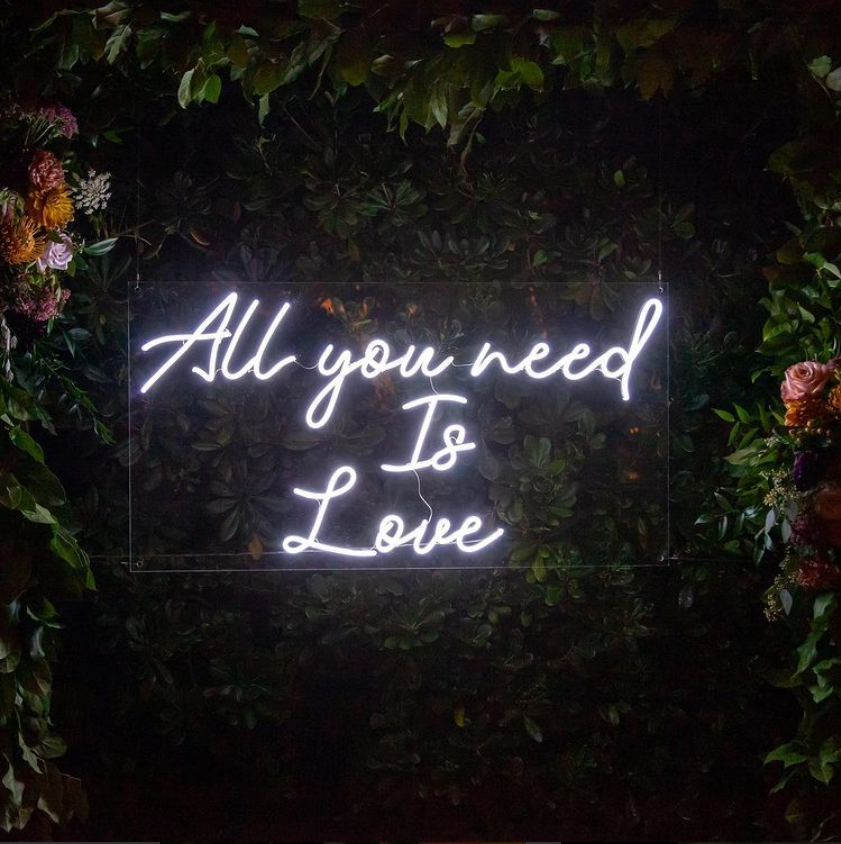 wedbug's tweet photo. …love is all you need ❤️
#weddingbug #weddingbugstudios #weddingphotography #weddingphoto #weddingphotographer #weddingvideo #weddingvideos #weddingfilm #weddingcinema #weddings #wedding https://t.co/pUGRj72hCJ