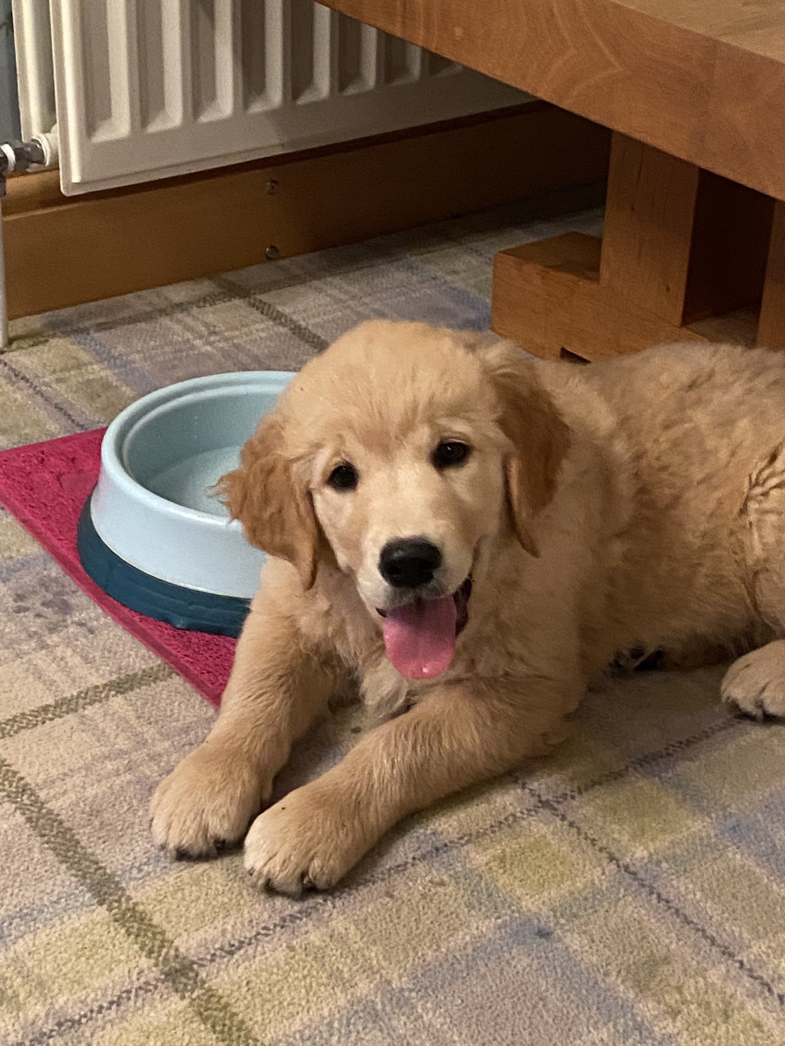 Parkers Carpets Parkerscarpets Twitter