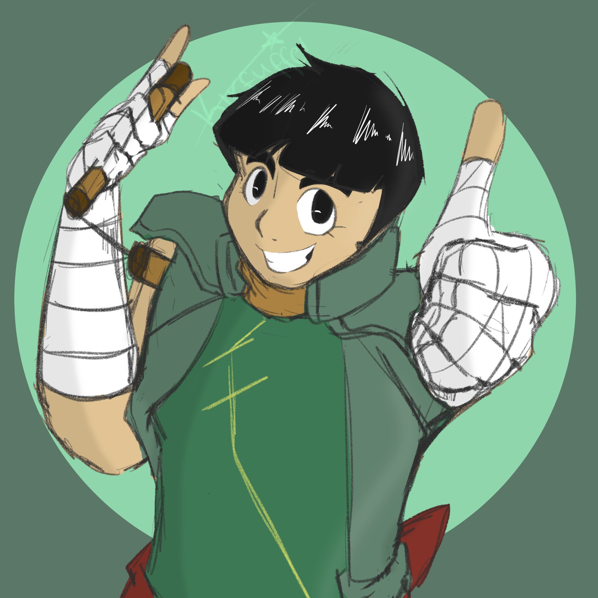   Happy Birthday to Best Boy!  Light of my life, the Most Splendid Rock Lee 