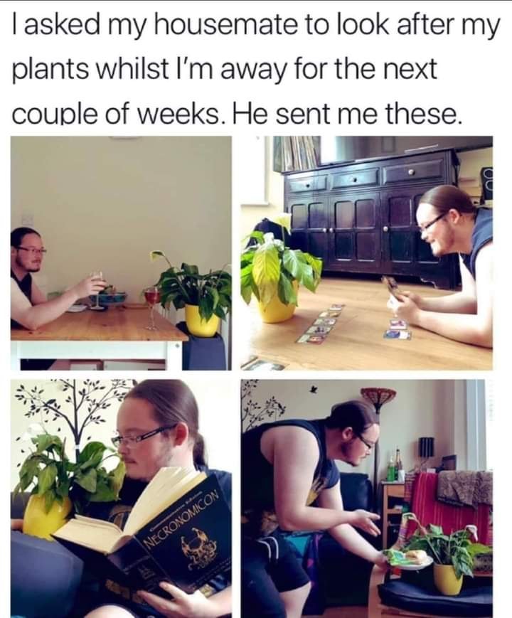 WholesomeMeme's tweet photo. https://t.co/oXfDSMOetc