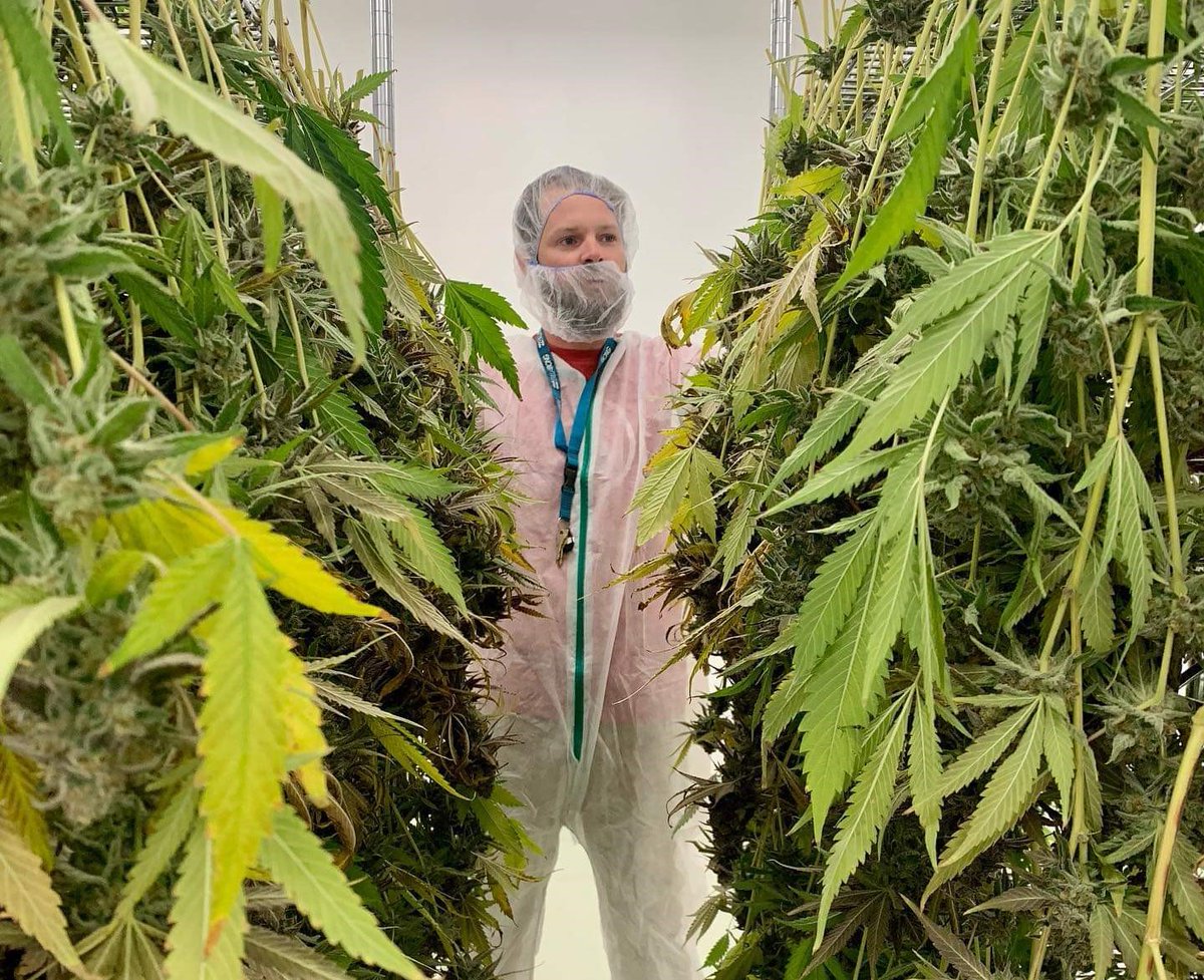 Unique Private Placement Opportunity Opens up for Established Craft Cannabis Co. ow.ly/HOib50GPoUR <a href="/mavenbrands/">Maven Brands Inc</a> #CSE: $MJ #stocks #markets