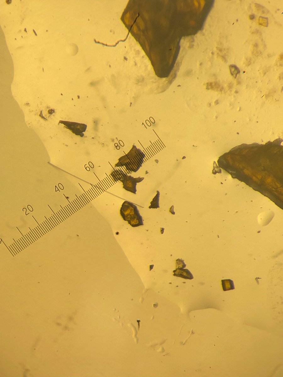 GoodwinRadChem's tweet photo. MChem Michaela’s crystals certainly passed muster today - 2nd structure for her this week!

Off to a brilliant start, and now a week of data gathering planned (or a 3rd on Fri).

The ligand prep makes these chunks of K metal look rather gory too!

#ChemTwitter https://t.co/QnA3RIwAjV
