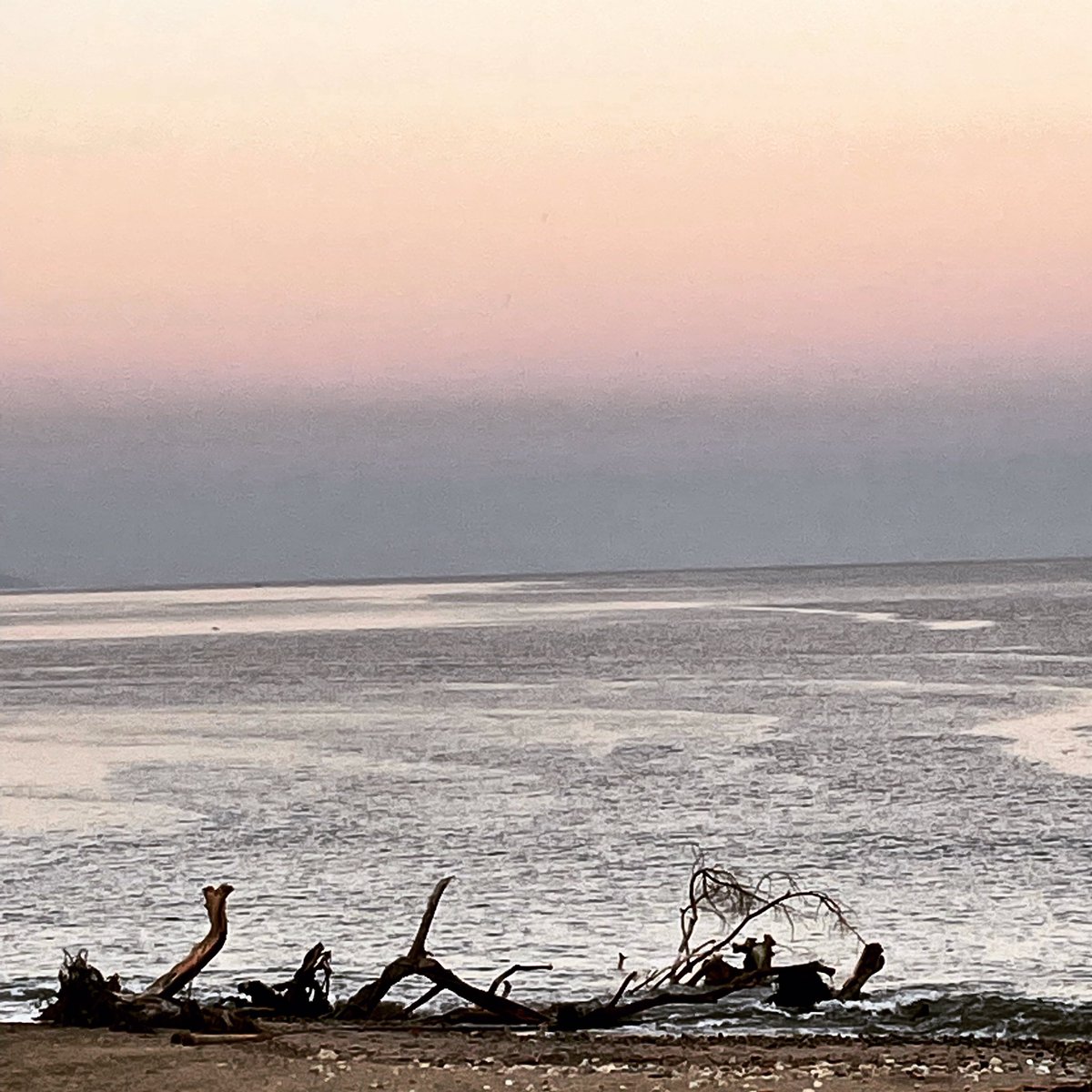 centro-gourmet.com.mx