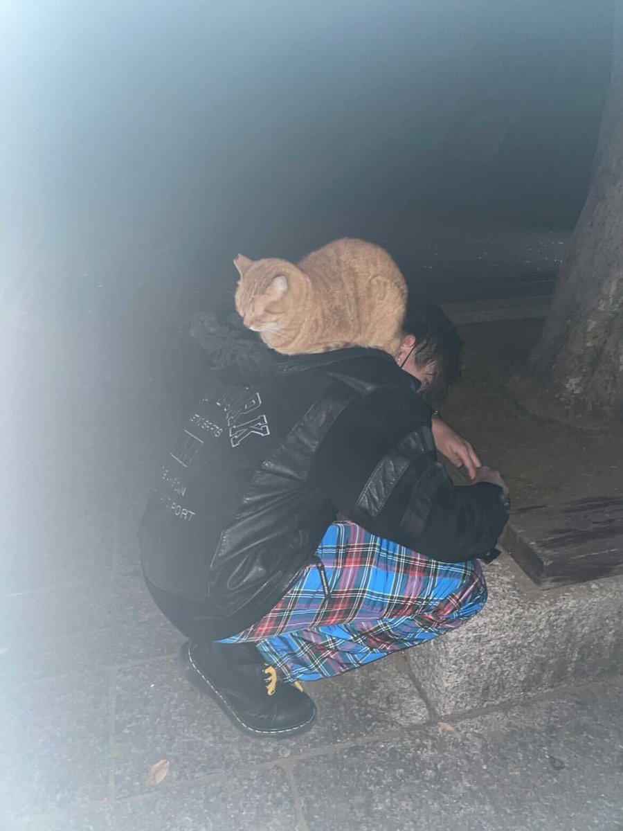 kai85142153's tweet photo. おれの背中で寝ちゃダメでしょ猫ちゃん🙃 https://t.co/f6uGVufxby