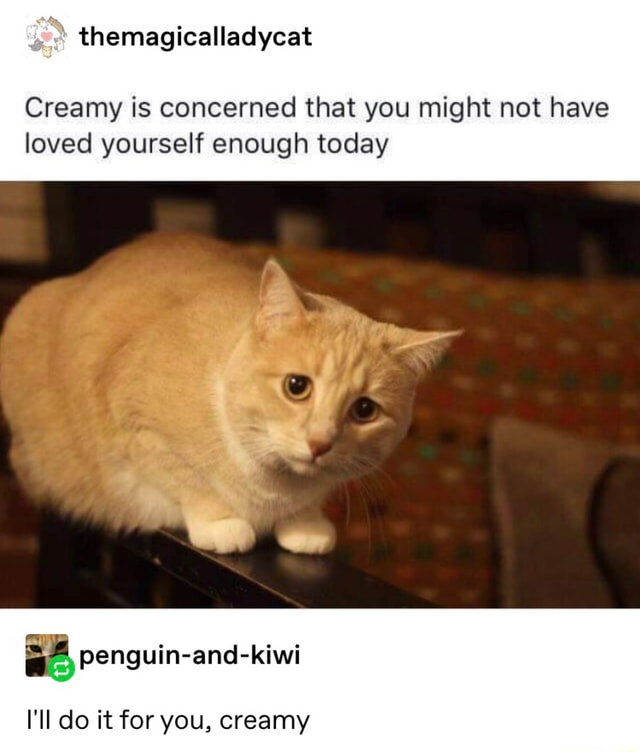WholesomeMeme's tweet photo. https://t.co/A7yggI3uTT
