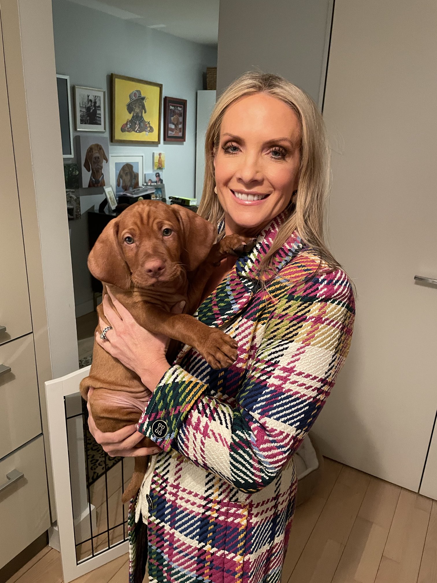 Dana Perino on X