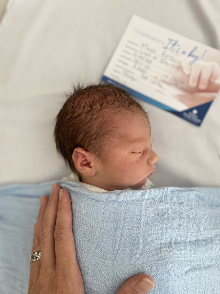 Dr Lisa Vincze tweet media