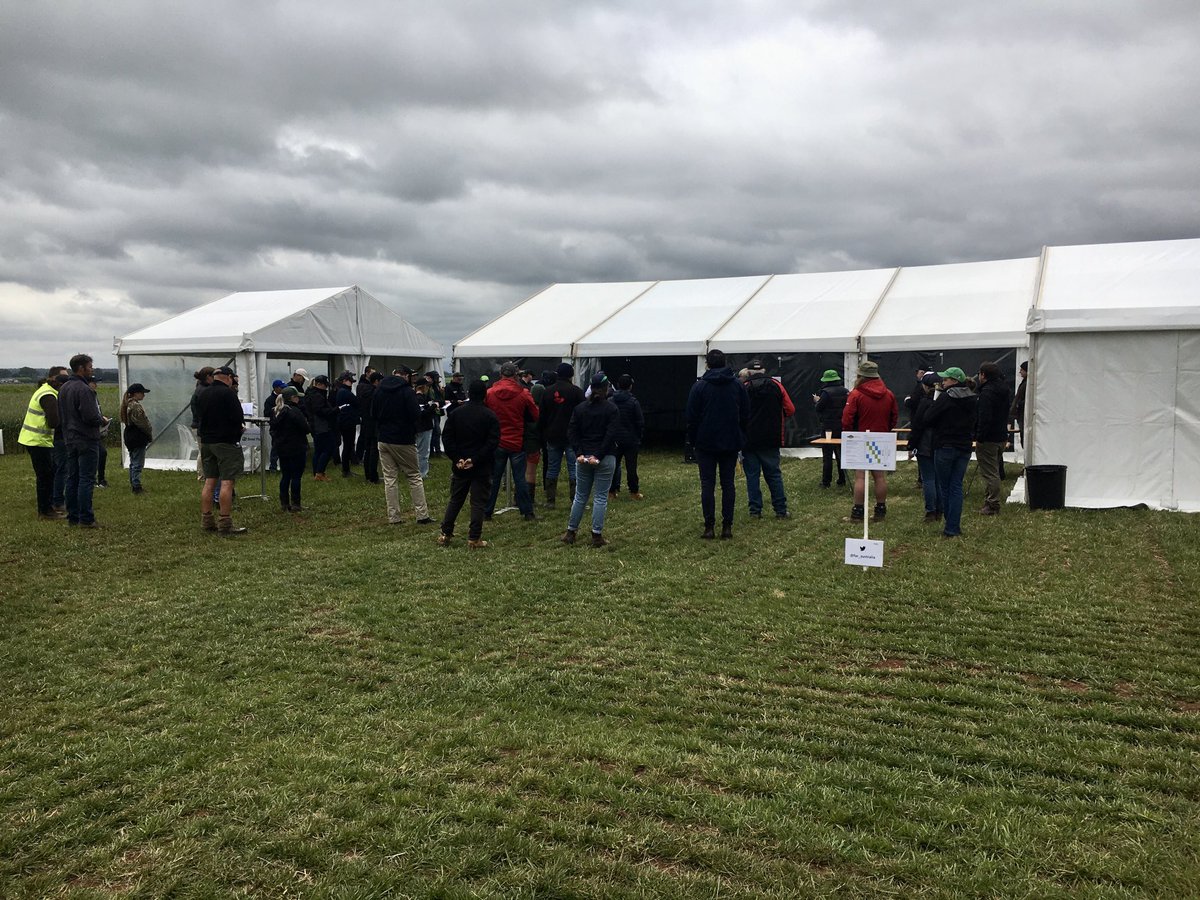 robertsagronomy's tweet photo. Hyper yielding cereals field day underway. Now an Australian wide project. But Tas still has the edge for a magnificent trials site and yield potential ⁦@far_australia⁩ ⁦@SfsNaomi⁩ https://t.co/Fq2nWnBC9b
