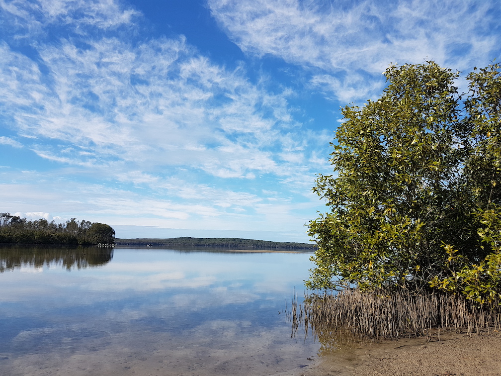 Chris Brown tweet media