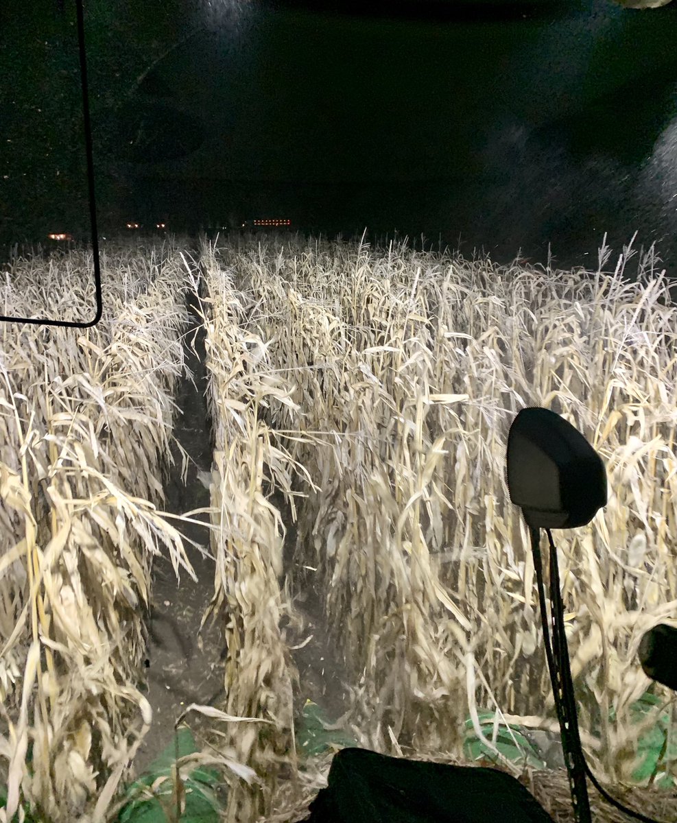 RebeccaJo20's tweet photo. Arguably the most important aspect of any combine is the comfort of the buddy seat. The CLAAS Lexion gets a 10/10 for me! #combinerides #cornharvest #buddyseat #claas #lexion https://t.co/IPX86Mj68a