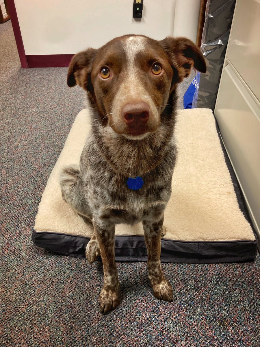 Looking forward to spending the day at <a href="/EPSDLmms/">LMMS</a> tomorrow!  It will be Emmy’s 2nd official day on the job.