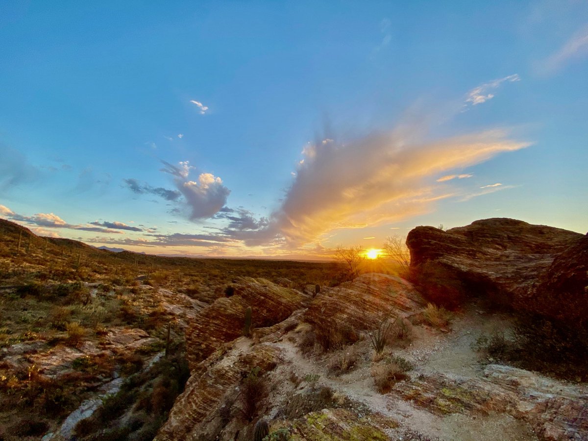 The Points Guy tweet media