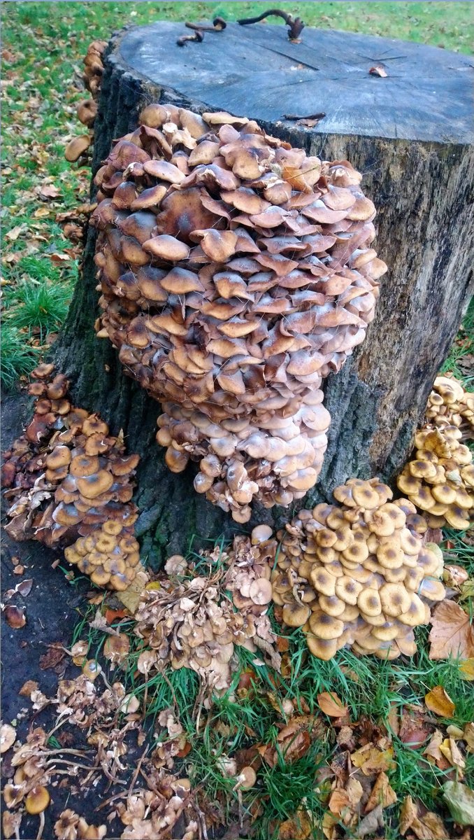 John Slater tweet media