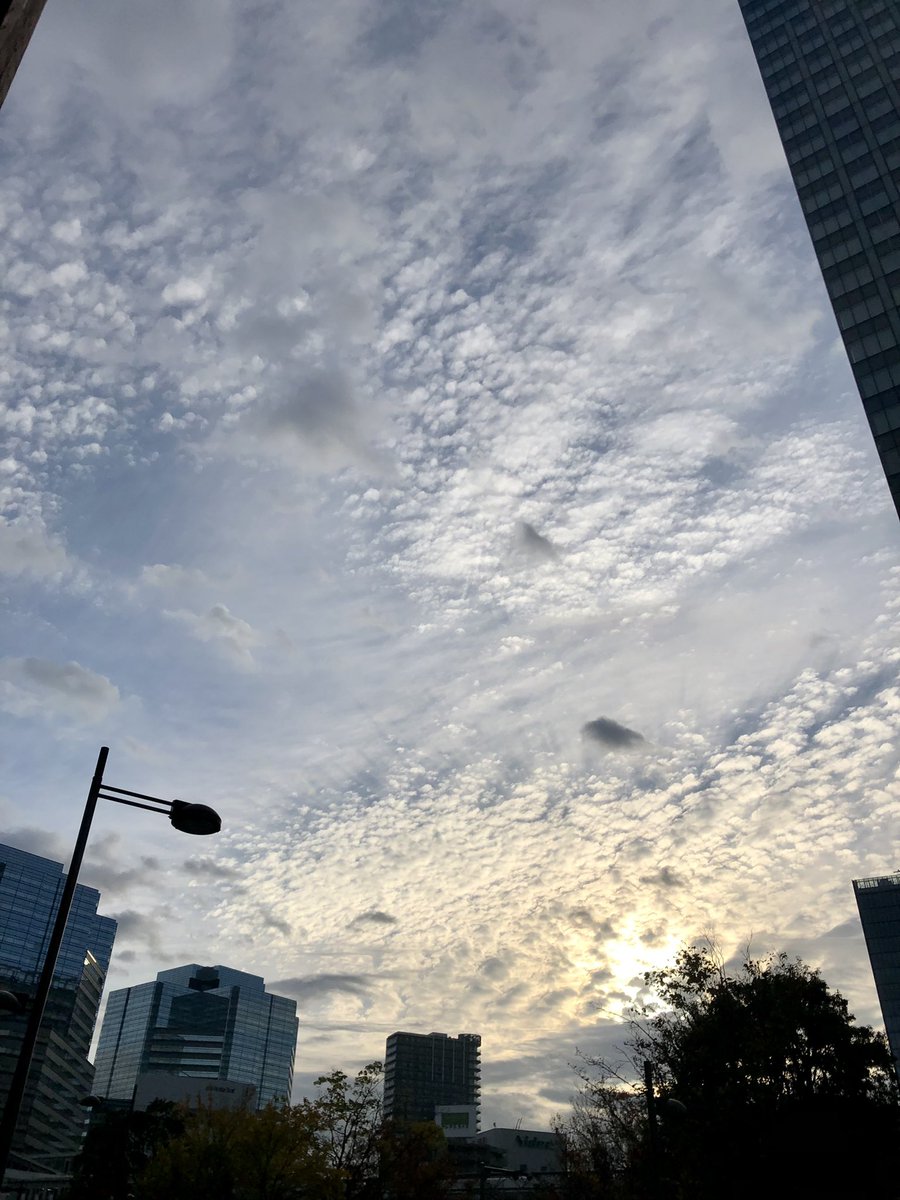 PulptexJ's tweet photo. おはようございます☀
11/18(木)大田区京浜島は☀️
今季コートデビューしました🧥

今日も安全運転で商品をお届けします🚛

えっ画像付きツイートできないんですか🙄？(実はちょっと助かる…)
一応今朝の地元の空を☀️

#企業公式が毎朝地元の天気を言い合う 
#企業公式相互フォロー https://t.co/bdKUvMzthC