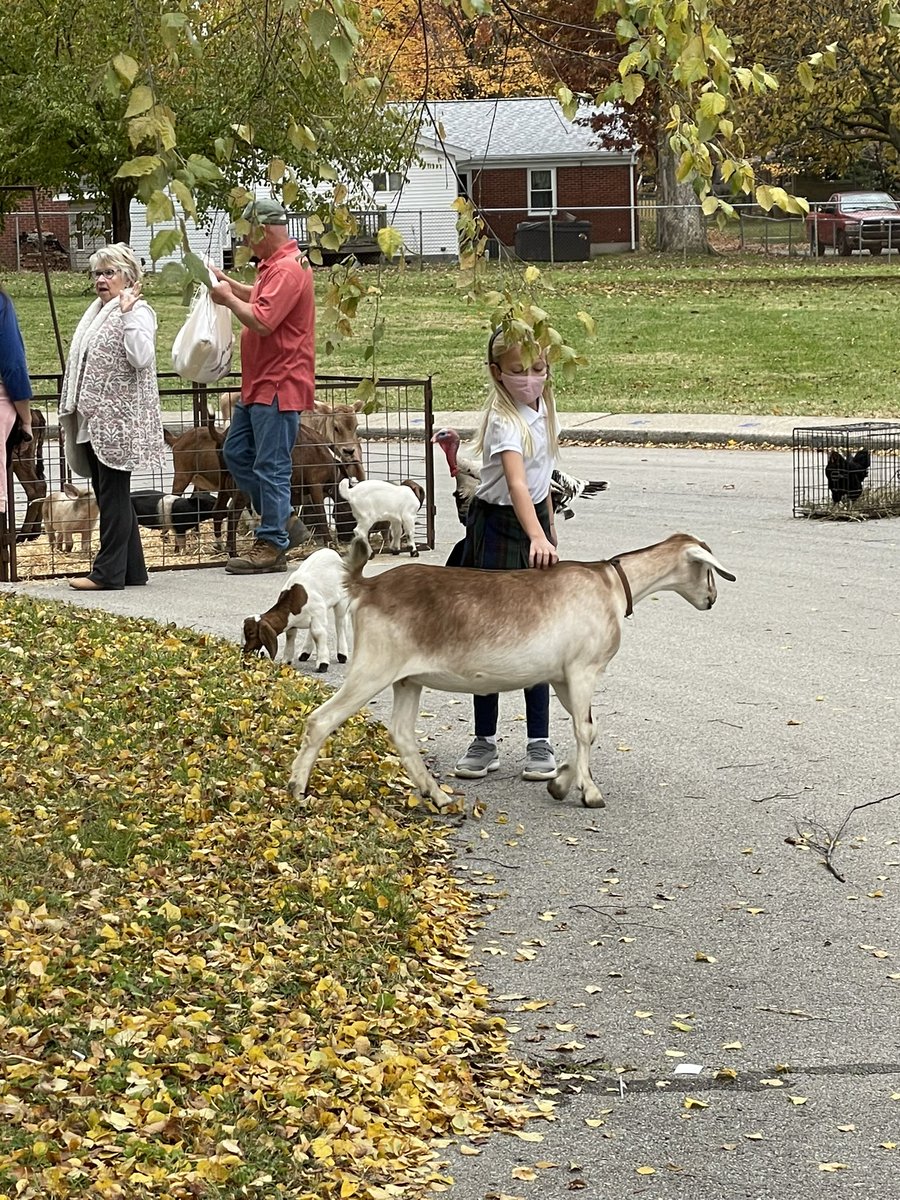 greatnessin3rd's tweet photo. Today was a zoo at Greathouse and we loved every minute of it! Our PTA takes celebrations to the next level❤️ @GreathouseElem @greathousePTA https://t.co/2cVc8ZwlDZ