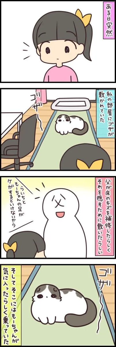 新しい敷物を見つけるのも気に入るのも猫のほうが早い【連載】もふもふスコたん#200|ねこのきもちWEB MAGAZINE https://t.co/3ckt8b504x 