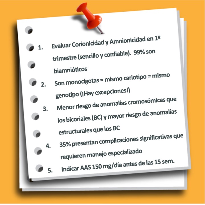 sadiptonline's tweet photo. En esta oportunidad, el Dr. Lucas Otaño, nos resume los #10CONCEPTOS que considera más importantes sobre gestación monocorial.
¡No te lo pierdas! https://t.co/d0SCRvpklN