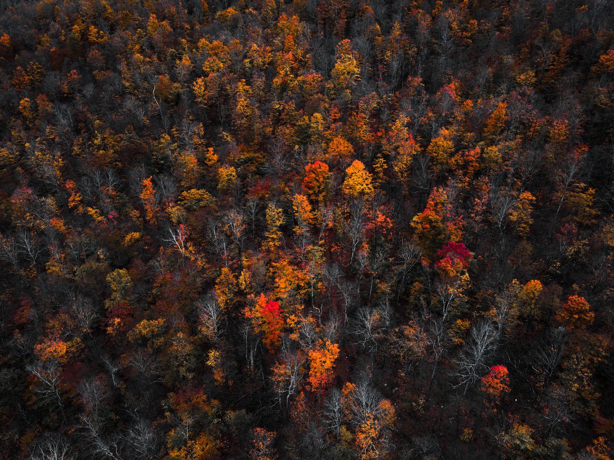 AJ_Cope's tweet photo. Moody fall vibes https://t.co/eMF5lsIlmJ