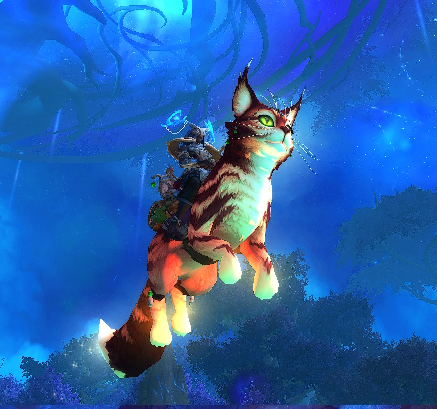 isavatv's tweet photo. La montura más hermosa de #worldofwarcraft ya es mía.
#gatos https://t.co/N6elMD8l8n