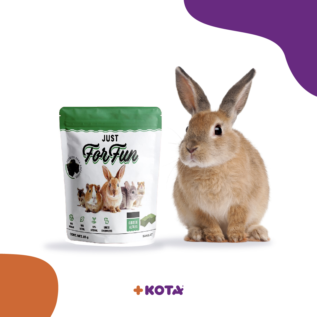 Maskota tiene las opciones más deliciosas para nuestros amiguitos pequeños.🐰🐭
¡Consiente a tus roedores con los ricos y saludables premios de JUST FOR FUN! 
-
Consíguelos en nuestra tienda online y cuida la alimentación de tus peluditos 👉 bit.ly/JustFunMaskota