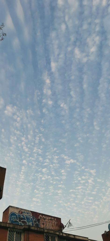 cheffff2015's tweet photo. @concienciaradio hola Alex
Asi el cielo en el estado de mexico paso por 5 municipos y todo se ve asi
Gustavo alvarado https://t.co/e8X7pPKAAk