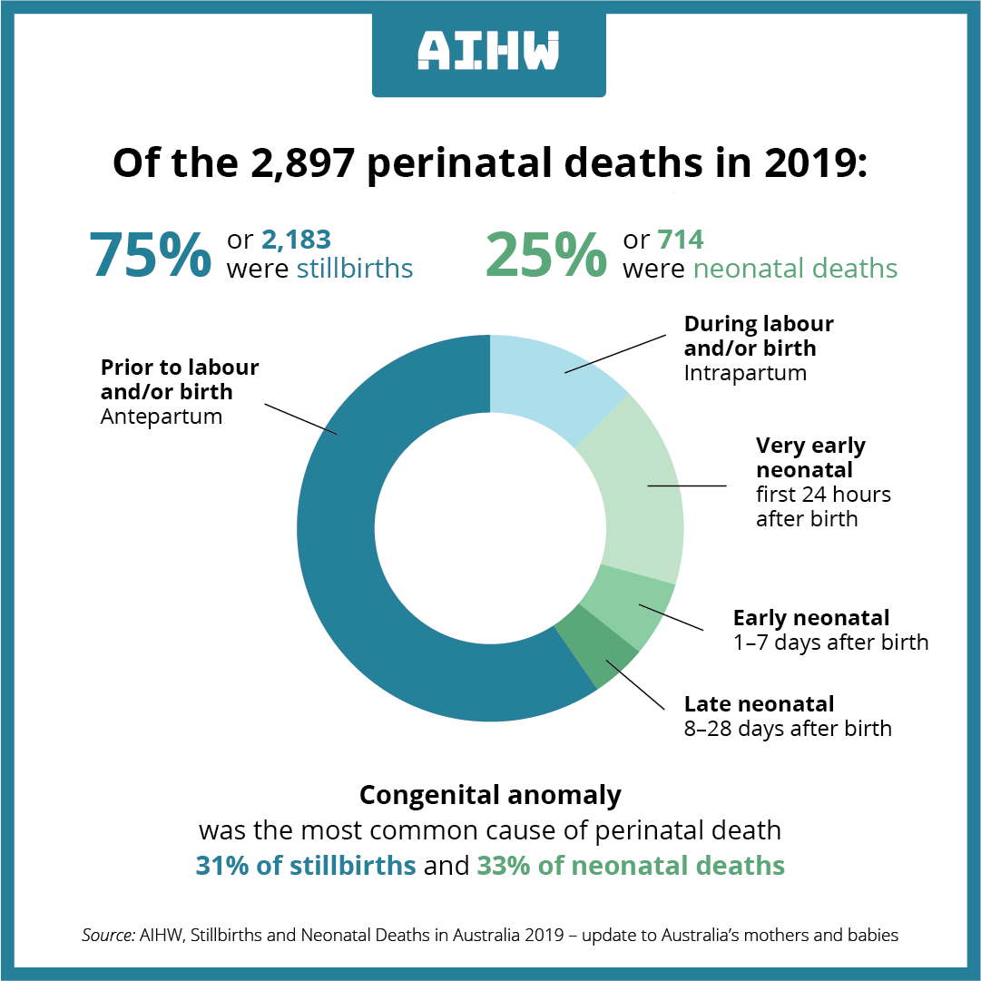 🆕 release out today: Stillbirths and neonatal deaths in Australia 2019 fal.cn/3jVkf Need support? Contact @SandsAustralia on 1300 308 307. #Stillbirth #Stillborn #Neonatal @StillbirthAUS @ISAStillbirth @CREStillbirth @Still_Aware @Bearsofhope @RedNoseAus