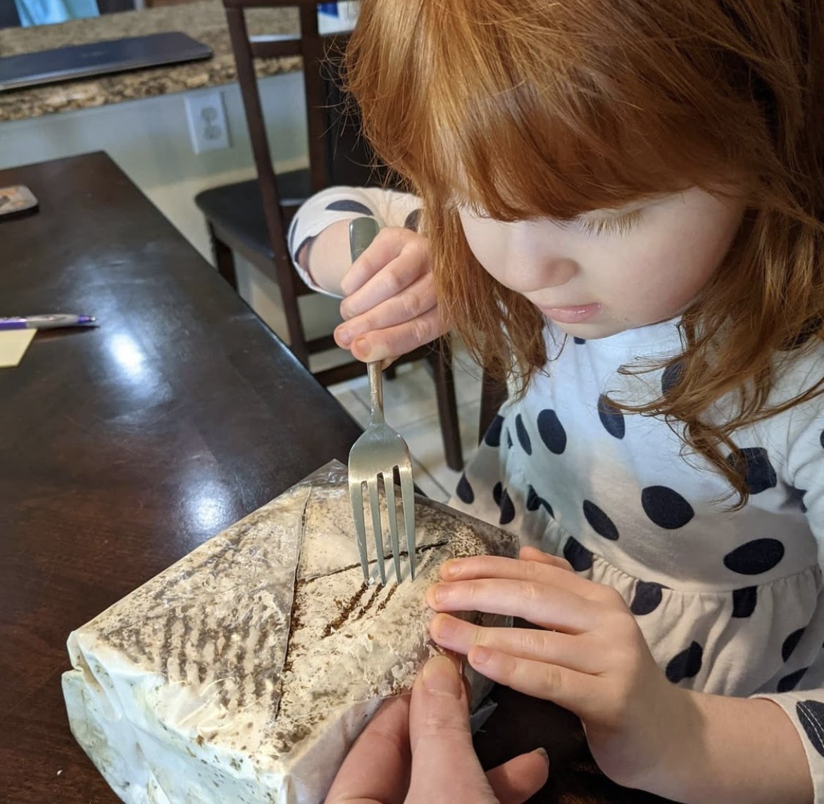 BacktotheRoots's tweet image. You’ve only just scratched the surface of her interest in #STEM with our Organic Mushroom Kit. For every photo you share of our gardening kits and hashtag #GrowOneGiveOne, we donate one to an elementary school classroom of your choice. #familyproject

Image via Amy Martens.