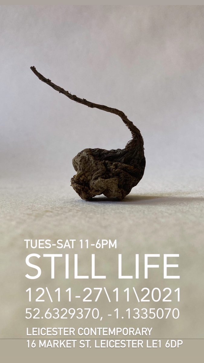 O p e n : STILL LIFE
@ModernEccentric  artists Ross Belton and Jonny Dredge

Leicester Contemporary
12\11 - 27\11\2021
Tues - Saturday 11-6pm
16 Market St, Leicester LE1 6DP