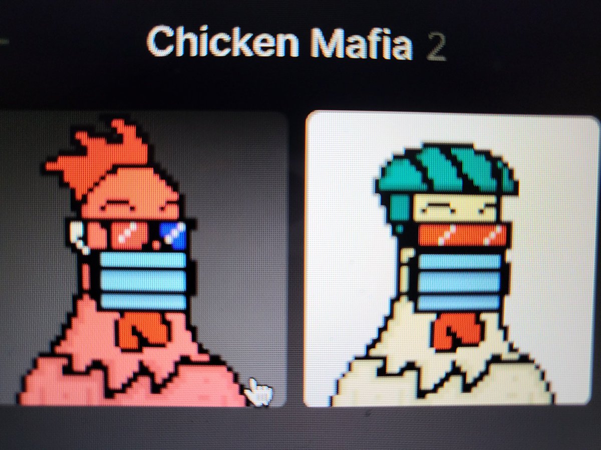 Brandy___Kay's tweet photo. Great fun & approachable project!! @ChickenMafiaSOL Each time you mint a chicken you save a real chicken! #savethechickens #WomeninNFTs #chickenlovers #digitalflock https://t.co/JV8seFYheL