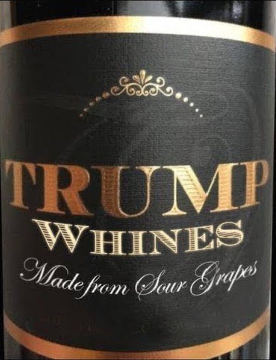 ThomasMerz11's tweet photo. @DonaldJTrumpJr How about these for t-shirts..... https://t.co/3Ui20Fn25d