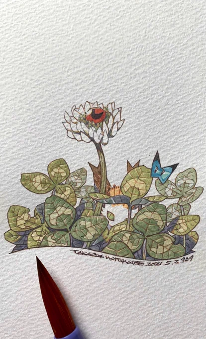 『こっそり覗く』 