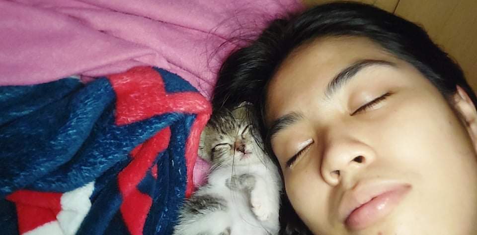 arcelaxx's tweet photo. Di pala ako nakapagupdate ng Kitty life d2 skska may bago kaming kitten, ni-rescue ng parents ko tapos di nila maalagaan ng full time like pa-gatas and all. Meet, Max short for Maximus, Maxi-peel and Max's. October 21 siya pinauwi sakin, big boy ka na 🥺🤧 https://t.co/lzpuamLjWR