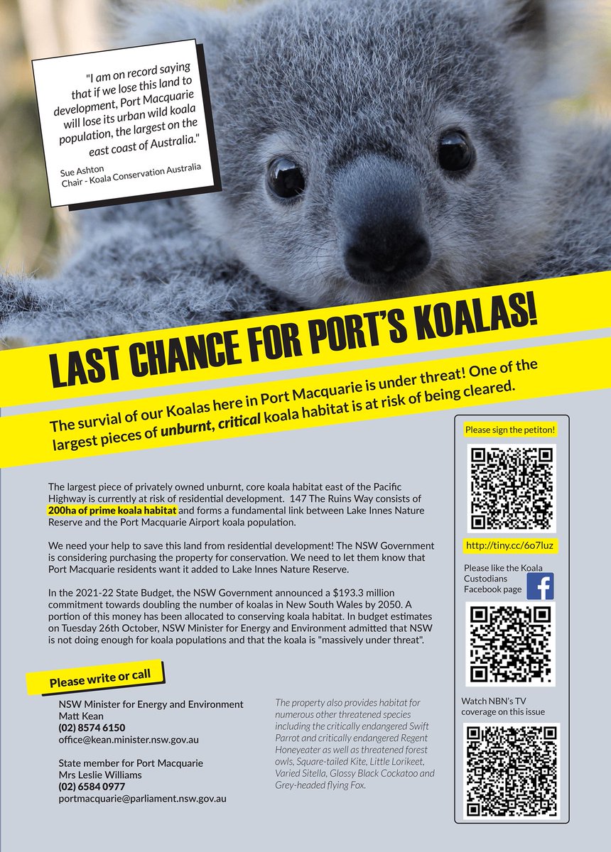 HospitalKoala's tweet image. PLEASE SIGN to protect a prime piece of our local ARKS - Areas of Regional Koala Significance. It only takes ONE MINUTE! This forest is a biodiversity hotspot, and  the koala population is recognised as being of national significance by Australian Museum tiny.cc/6o7luz