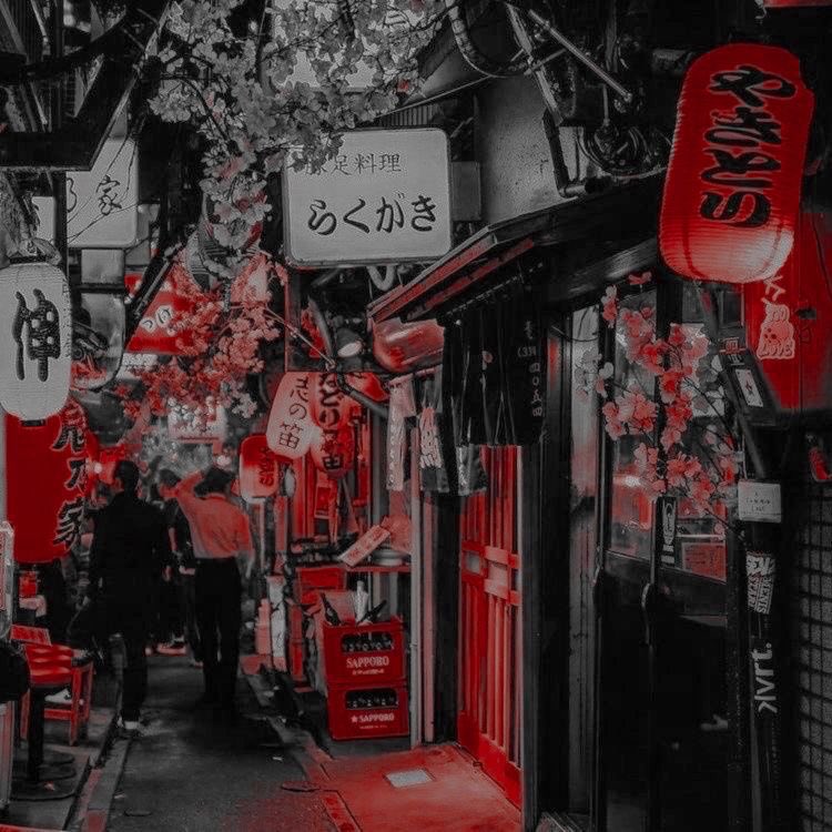 ⠀⠀Alleyways which were labyrinthine, endless streams and rivers of floating lanterns incandescent as rubies in the winter night, they were constellations shining the spotlight to the plethora of miniature restaurants, little shops, and hidden antiques.
