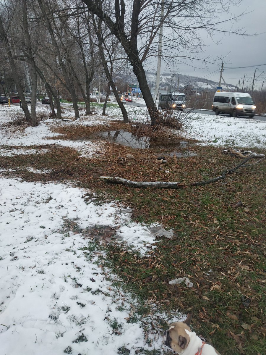 Cергей Смертин tweet media