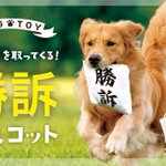 シュールすぎると話題!判決を取ってくる犬用おもちゃ「勝訴マスコット」が商品化!