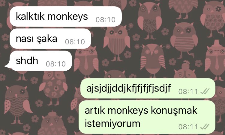 PyotrPadraic's tweet photo. günaydın. askıda şaka var isteyen olursa.. https://t.co/12fB1lWS47