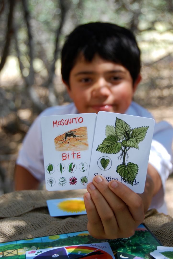 learningherbs's tweet image. Wildcraft! is perfect for a family game night. This nature-based, cooperative game teaches 27 important healing herbs and edible plants.

Our once-a-year Wildcraft! Holiday Sale ends this Friday, November 19th at midnight Pacific.

Get Wildcraft! here: bit.ly/3FajGsQ