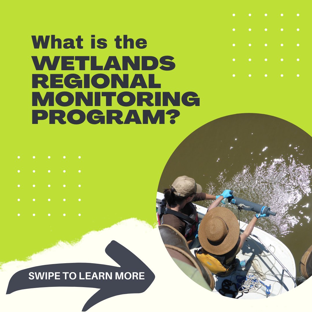 SFEstuary's tweet photo. (1/3) Tidal wetlands in the San Francisco Estuary face an uncertain future due to climate change, continued development pressure, and other regional stressors. #WetlandWednesday #wetlands #WRMP #environment #climatechange #SF #BayArea #SacramentoDelta #water https://t.co/RwkrseDbYB
