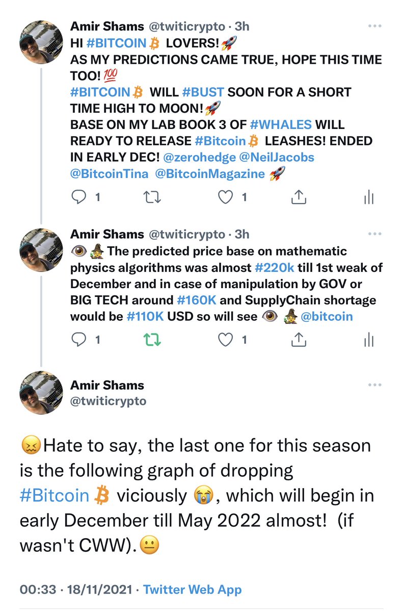 Amir Shamsipour tweet media