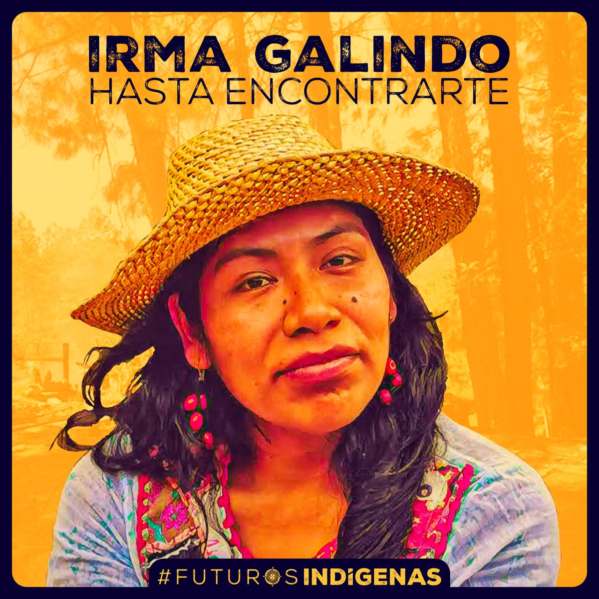 Irma Galindo Barrios, mujer ñuu savi de Oaxaca es una defensora de los bosques y del futuro. Desde su territorio ha denunciado la tala clandestina y hoy se encuentra desaparecida. Abrazamos a su familia y compañerxs de lucha, nos sumamos a la búsqueda: hasta encontrarle.