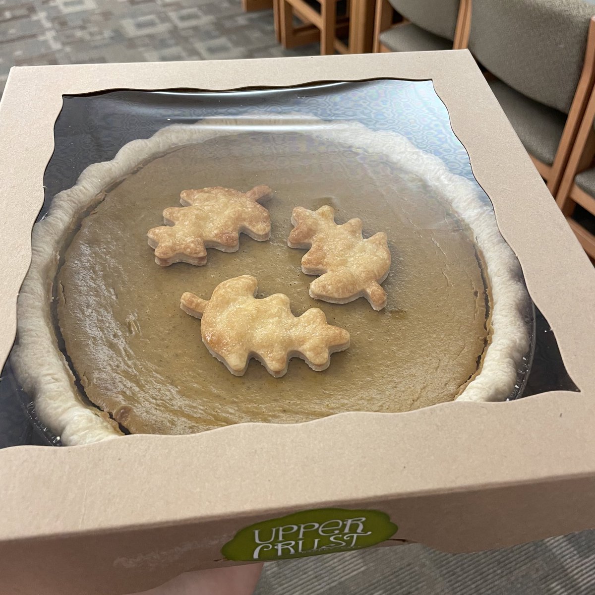 Emily Kupersztoch tweet media