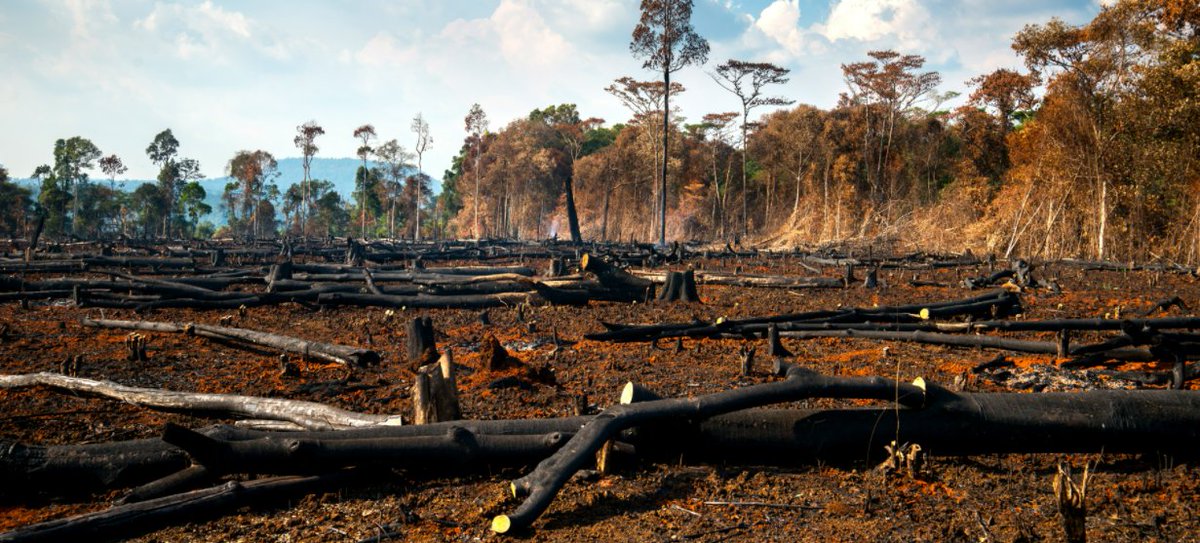 Australian Science Media Centre (@aussmc) on Twitter photo 🌳 <a href="/UQ_News/">UQ News</a> says we need to protect nature to avoid future pandemics
🌏They looked at links between the pandemic and the deterioration of the ecosystem and biodiversity, discovering feedback loops suggesting a potential increase in future pandemics
scimex.org/newsfeed/prote… 🌳 <a href="/UQ_News/">UQ News</a> says we need to protect nature to avoid future pandemics
🌏They looked at links between the pandemic and the deterioration of the ecosystem and biodiversity, discovering feedback loops suggesting a potential increase in future pandemics
scimex.org/newsfeed/prote…